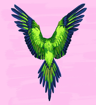 Parrot animal bird bright colorful illustration parrot pop art