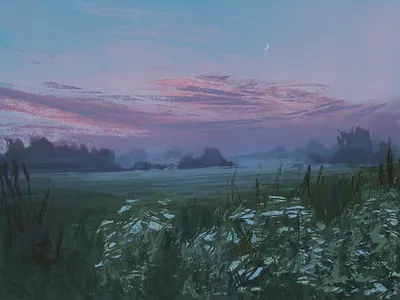 Dawn contemplative dawn digital drawing field illustration landscape