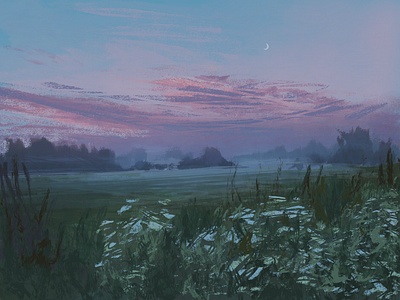 Dawn contemplative dawn digital drawing field illustration landscape
