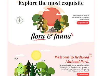 🌄Redwood National Park🦌 amazing ui animation app branding design figma graphic design illustration logo trending typography ui ui design ui trends ux ux trends vector web design web development webdev