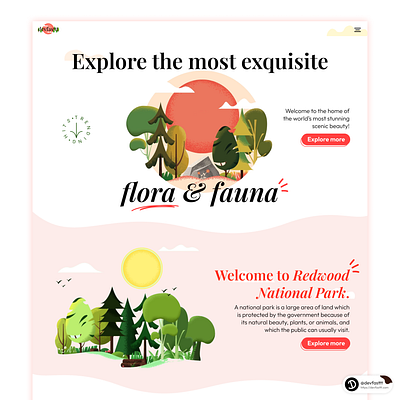 🌄Redwood National Park🦌 amazing ui animation app branding design figma graphic design illustration logo trending typography ui ui design ui trends ux ux trends vector web design web development webdev