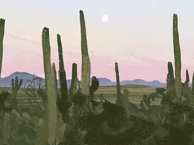 Cactuses digital drawing graphic design illustration landscape