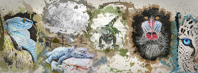 🎨 Cover of the Soph & Art Facebook Page 3d animals animation art colors cover feline humans landscape motion design nature paint reptile stain timelapse video editing watercolor