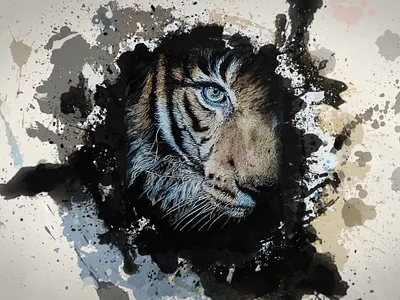 🎨 Timelapse video: Tiger 3d animal art colors editing feline illustration motiondesign paint soph art stain tiger timelapse videoedit videoediting watercolor