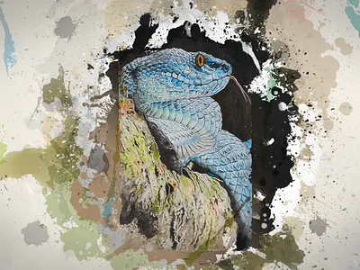 🎨 Timelapse video: Snake 3d animal art colors motion design paint raptile snake soph art stain timelapse video editing watercolor