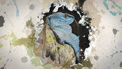 🎨 Timelapse video: Snake 3d animal art colors motion design paint raptile snake soph art stain timelapse video editing watercolor