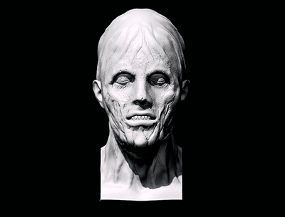 PAMELA VOORHEES 3d 3dprint 80s art custom film friday 13th head horror jason mom pamela voorhees printable sculpt zbrush