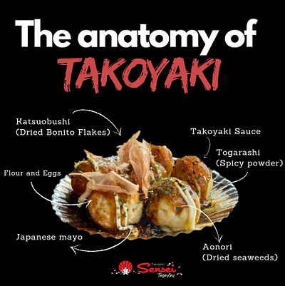 Anatomy of Takoyaki design graphic design illustration layout