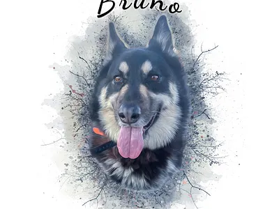 Watercolor Pet / Animal Portrait