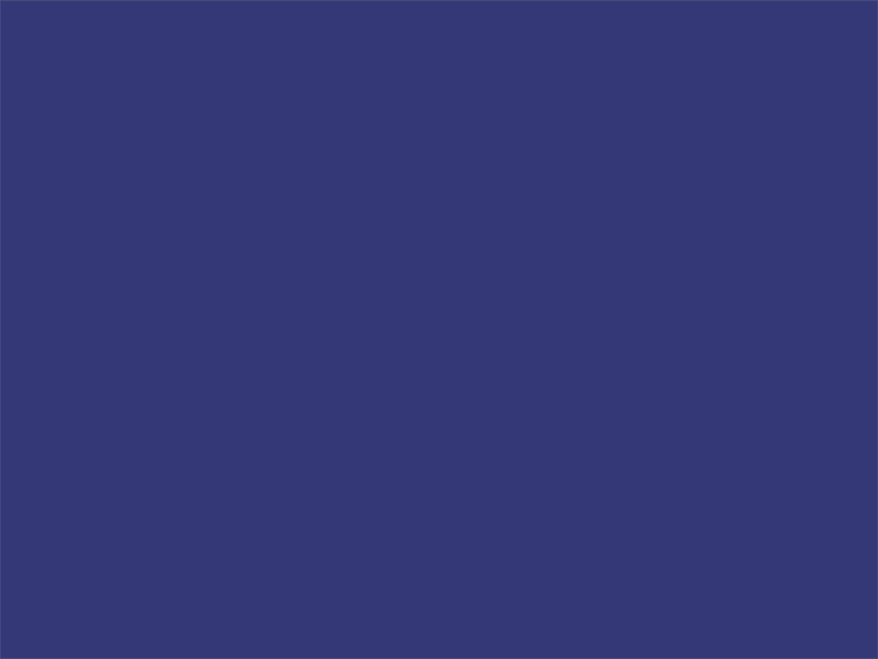 Tripalgarve 2d animation logo animation motion design