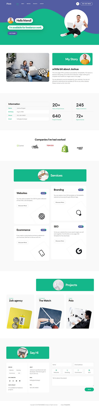 Portfolio Website Design branding design elementor graphic design illustration landing page web design wordpress website