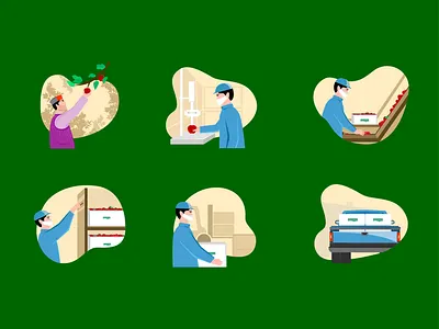 Farmer picking the finest apples apple farmpik graphic design illustration process vector