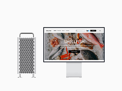 SHELLFISH branding ui