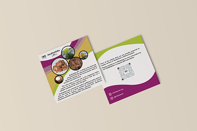 Square Brochure brochure design graphic design print