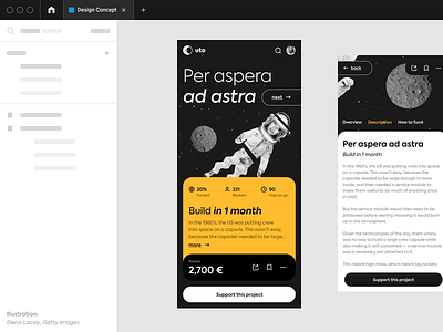 Per aspera ad astra crowdfunding donate figma space ui