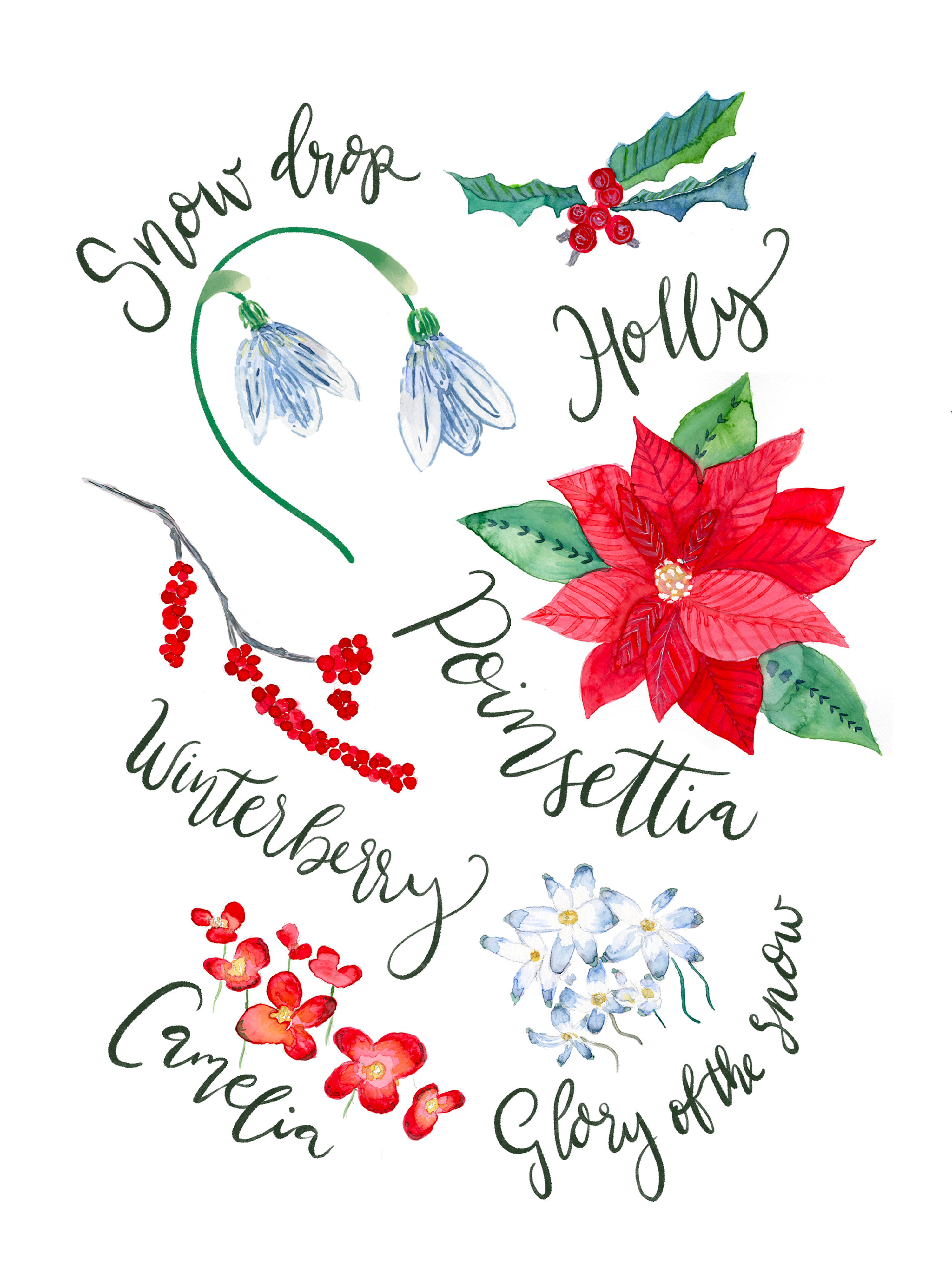 Example of Winter Florals Study