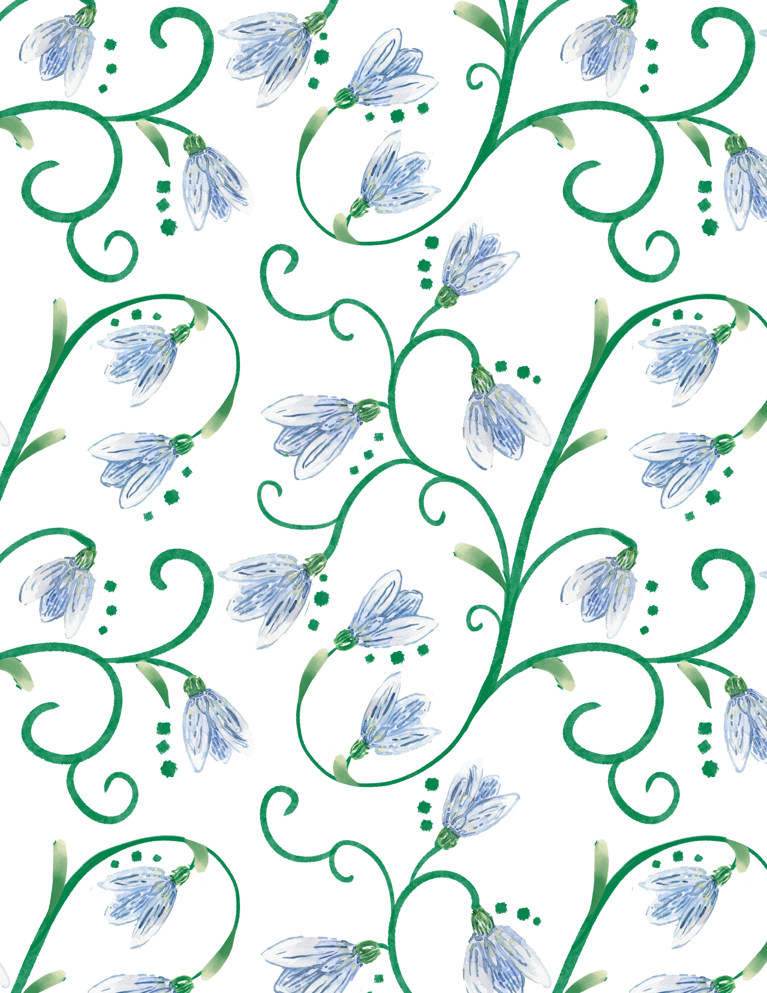 Example of Snow Drops Coordinate