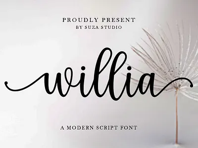 Willia A Modern Script Font baby branding calligraphy card casual cute graphic design handwritten invitation logo lovely modern script typography wedding