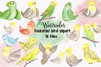 Watercolor Cockatiel Parrot Clipart graphic design nature realistic parrot clipart watercolor bird