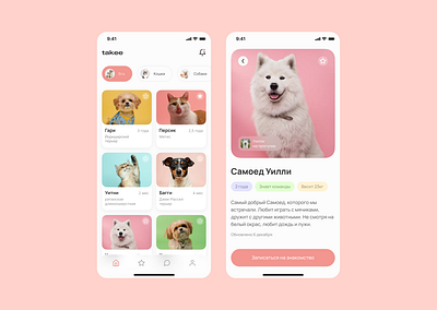 Takee™ .󠀩 Pet Shelter App - UI Design app branding dashboard design illustration ui uiux uxui