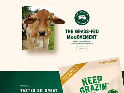 Keep Grazin illustration motion graphics ui ux web design