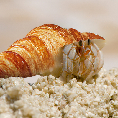 Bernard-Croissant collage digitalart fiverr graphic design photomontage photoshop