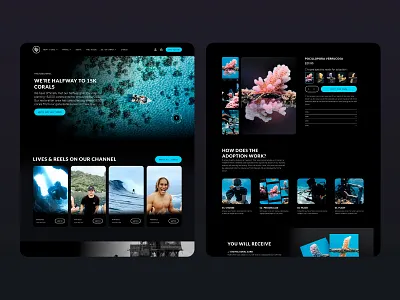 Coral Restauration - Dark mode branding coral corals dark darkmode design figma graphic design restauration ui ui design ux design