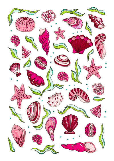 Pink Shell Pattern art artwork beach design drawing illustration ocean pattern pink print sea shells