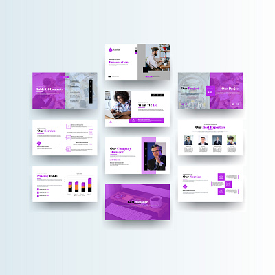Business Presentation branding design graphic design illustration logo