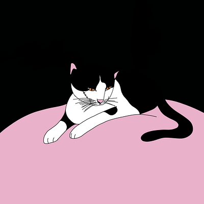 Otis cat design digital illustration drawing illustration kitten life drawing procreate