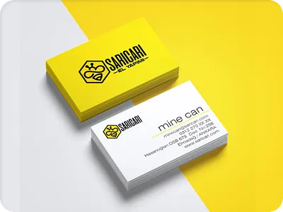 Business Card branding business card design graphic design illustration logo mockup vector