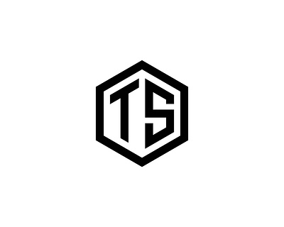TS Logo Design branding design business logo creative logo design flat design illustration letter ts logo logo design ts ts letter ts logo ts logo design unique logo