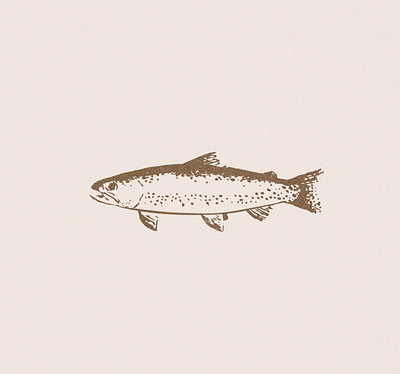 Trout Logo and Illustration design illustration illustration art illustrator logo minimal minimalism minimalistic simple