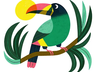 Mountain Toucan animal bird colourful digital art exotic illustration mountain procreate toucan