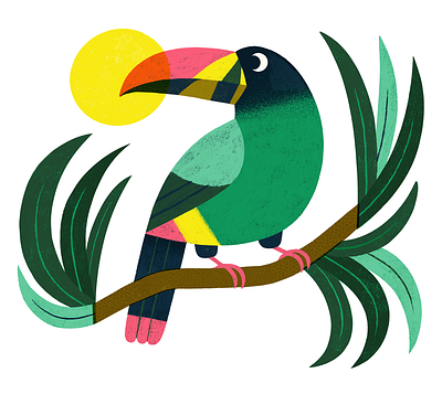 Mountain Toucan animal bird colourful digital art exotic illustration mountain procreate toucan