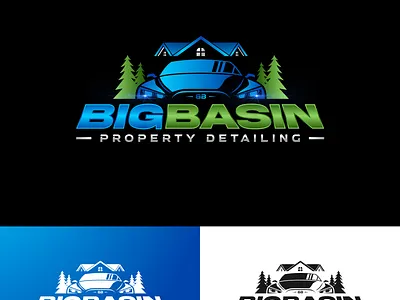 Bigbasin Property design graphic design illustration logo logodesign logos property vector