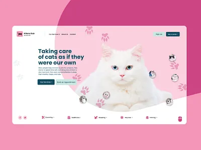 Cat Care app branding care cat cats design dogs graphic design illustration logo petcare pets typography ui ux vector