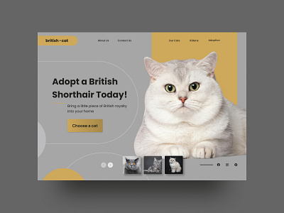 Website for a breeder of British cats: landing page UI design figma landing page ui ux web design