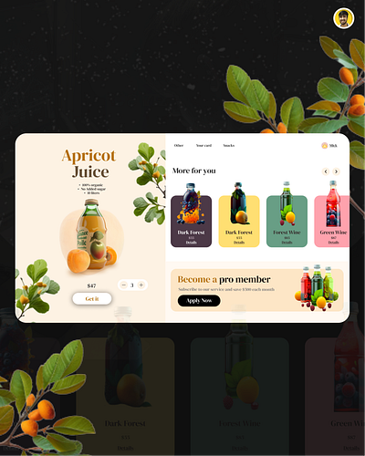 Juice Company UI UX Design