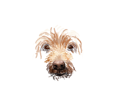 Rumo adobe illustrator cute design dog illustration illustrator