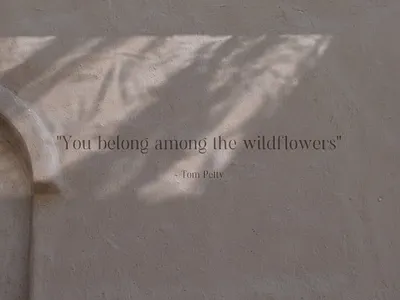 Natural Shadow Zen Overlays & Backgrounds backgrounds branding design digital graphics organic overlay shadow shadows