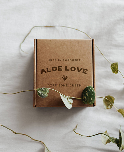 Brand & Packaging Design for Plant Delivery Shop art direction brand design brand designer brand identity brand identity design branding branding design creative direction design graphic designer logo logo designer packaging design