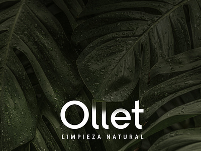 Ollet - Natural Products brand identity branding color colorpalette design green logo nature typography