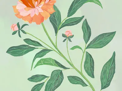 Fleur botanical botanical illustration design dribbble fleur floral floral illustration flower freethrow illustration procreate texture