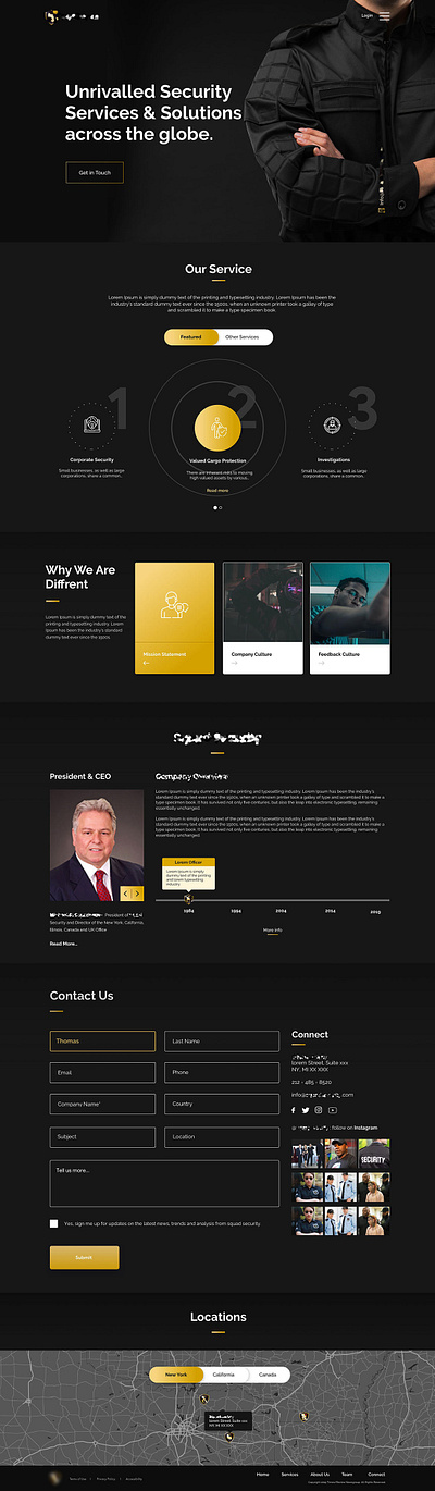 Security Service Web graphic design ui