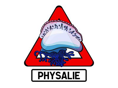 Danger - Physalie alerte baignade breizh bretagne côte danger illustration man of war meduse mer panneau physalie piqure plage portugais risque signalisation vessie