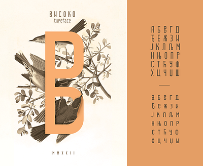 VISOKO FF Cyrilic cyrilic design digital font font family graphic design illustration letters serbian typeface typography visoko