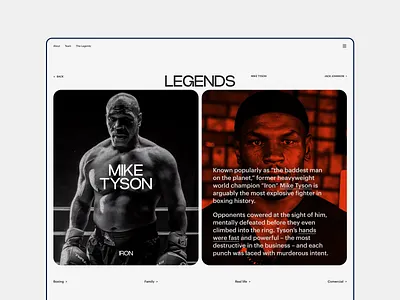 mike tyson website desktop grid figma grid ui ux