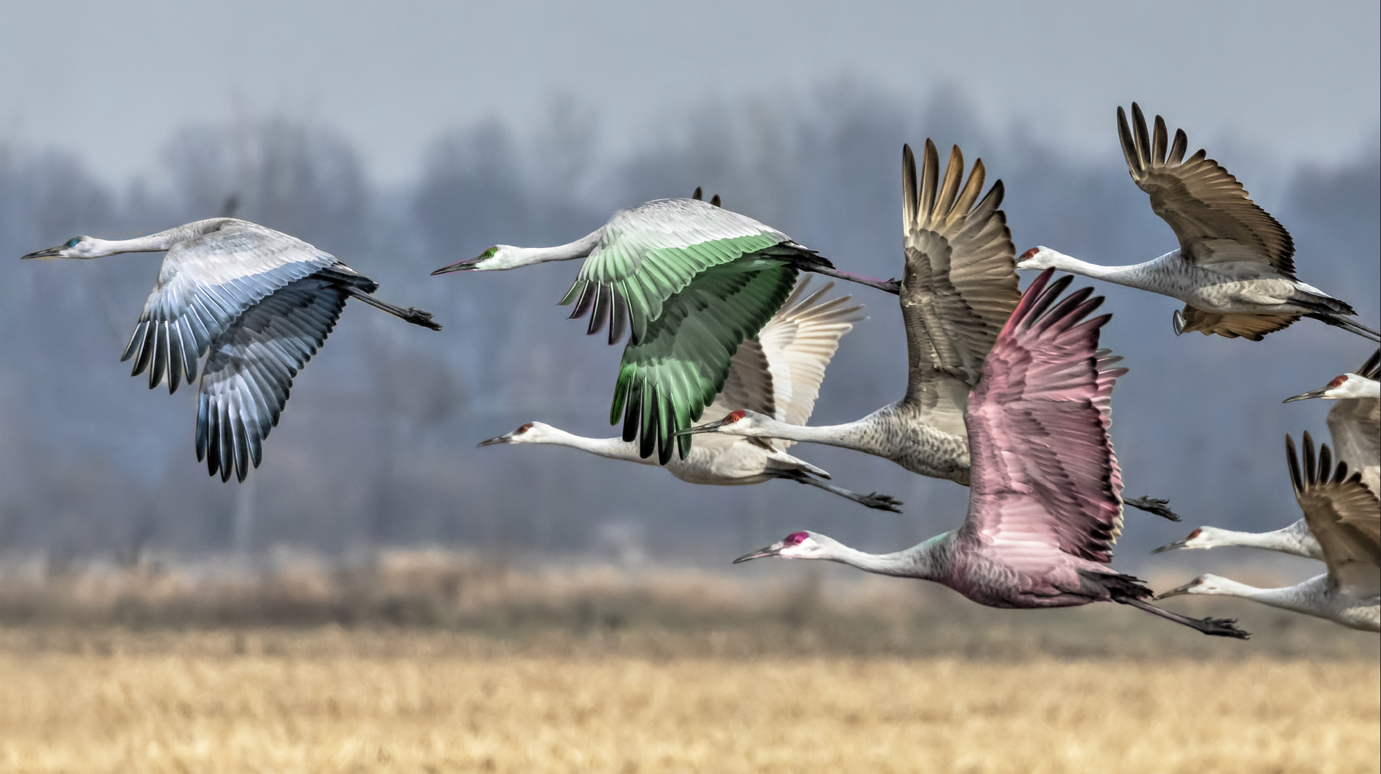 Example of Touch The Sky