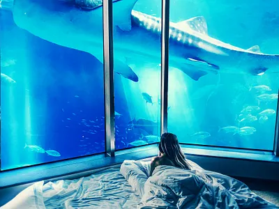 Underwater Views composition design graphic design manipulation